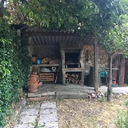 Bilocale Con Giardino A Pomaia *
