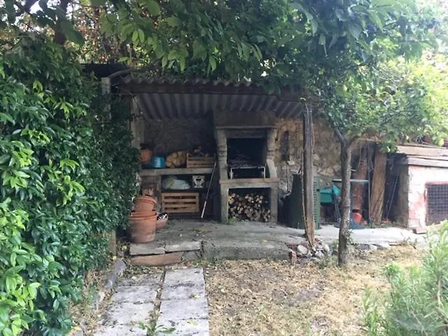 Bilocale Con Giardino A Pomaia *